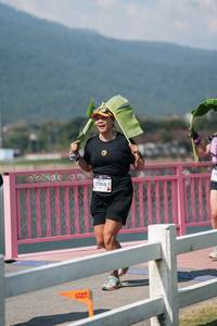 BIB: 
                            <button type="button" onclick="openModal(27248371)" class="btn btn-primary btn-sm float-right btn-popup" data-toggle="modal" data-target=".modal-high-quality">
                        <i class="fas fa-shopping-cart"></i> Add to Cart
                    </button>
                                            <button type="button" onclick="isThisMe(27248371, true)" class="btn btn-success btn-sm float-right btn-popup btn-isme hidden" data-toggle="tooltip" data-placement="bottom" title="นี่คือรูปของคุณใช่ไหม คลิกที่นี่เพื่อเอาเข้าอัลบั้ม">
                        <i class="fas fa-plus"></i> Add to album
                    </button>
                    <button type="button" onclick="isThisMe(27248371, false)" class="btn btn-warning btn-sm float-right btn-popup btn-isnotme hidden">
                        <i class="fas fa-ban"></i> Remove from album
                    </button>